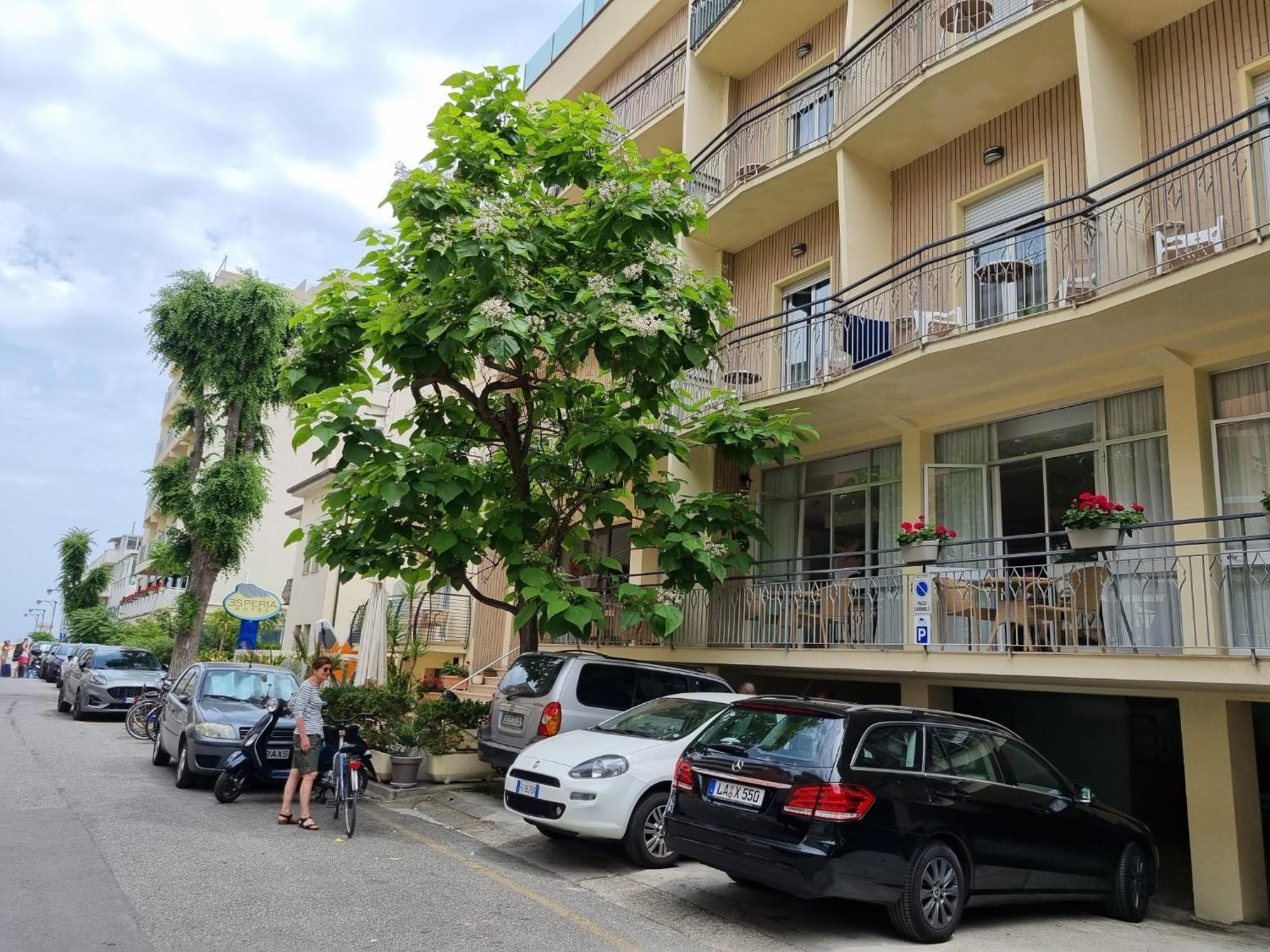 Hotel Esperia كاتوليكا المظهر الخارجي الصورة